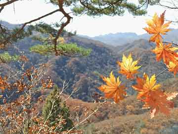 多地试点“运动+团体辅导”综合课程